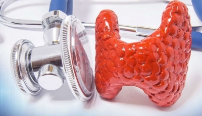 Врач-эндокринолог: кто это и что лечит, какие проблемы решает