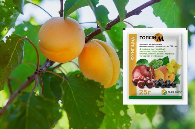 Топсін – гарантований результат та широкий спектр захисту рослин