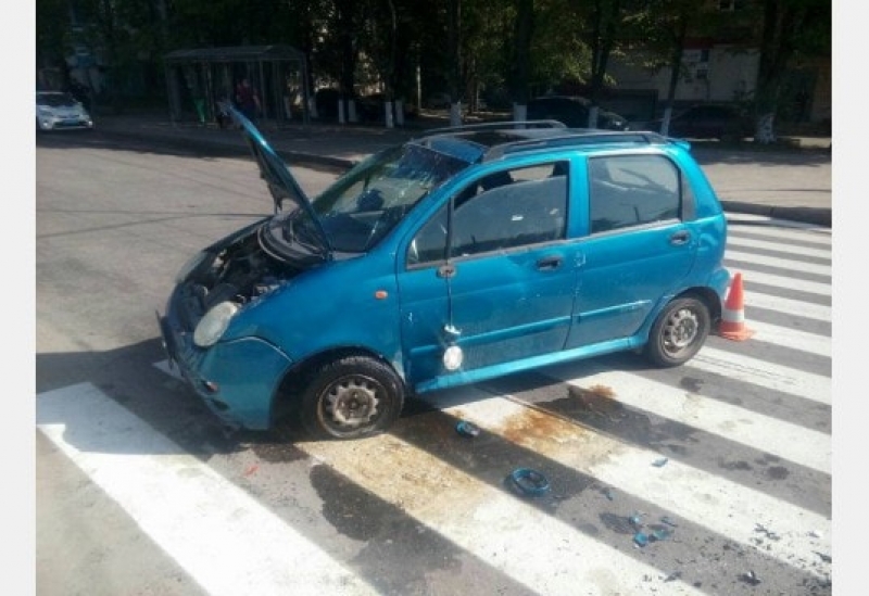 Домашний питомец чуть не убил хозяев