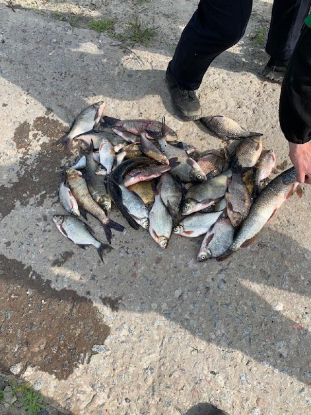 На речке Окол в селе Животовка поймали браконьера