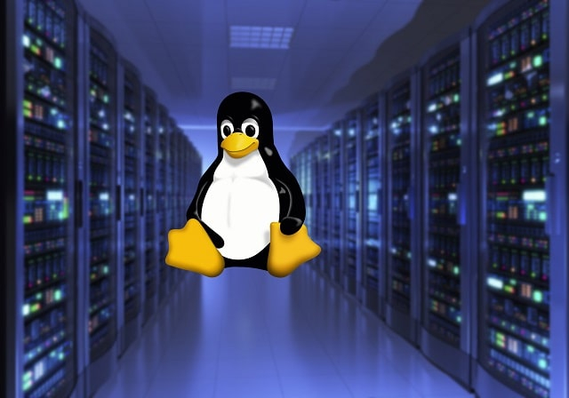 Какой Linux выбрать для сервера: виды дистрибутивов и их особенности