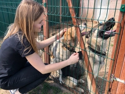 В Центре обращения с животными открывается второй сезон волонтерской школы