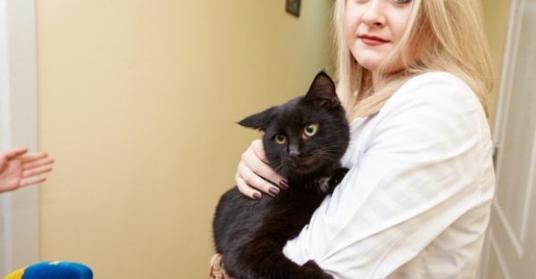 Кот на мясокомбинате полакомился на 6 тыс. грн