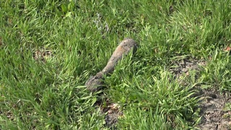 Под Харьковом эвакуировали более 400 человек