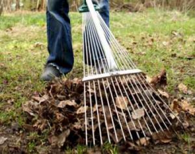 Горожанам напомнили о запрете сжигать листву