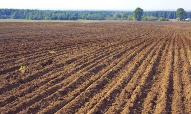 Председатель сельсовета подделал документы на отчуждение земельного участка