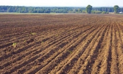 Председатель сельсовета подделал документы на отчуждение земельного участка