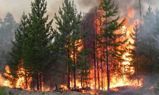 Убытки от войны в экологической сфере на Харьковщине превысили полтриллиона гривен