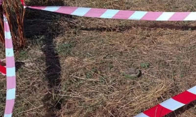 В больнице скончался один из мужчин, которые разбирали во дворе боеприпас