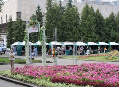 Харьковчанам устроили праздник цветов