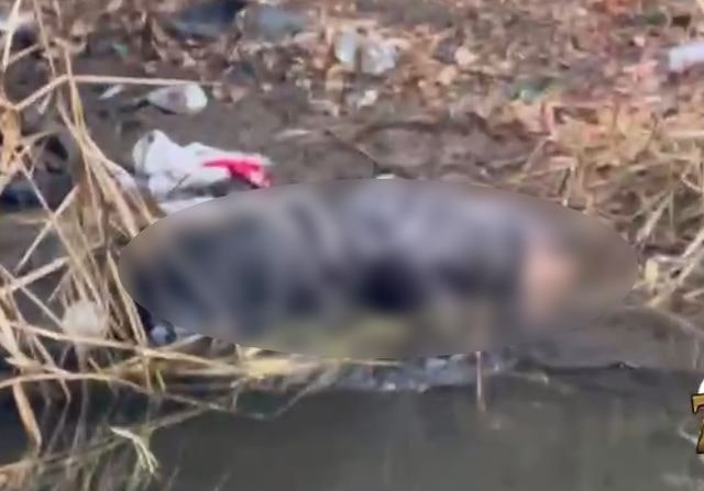 В Харькове оперативно раскрыли убийство – подозреваемый взят под стражу