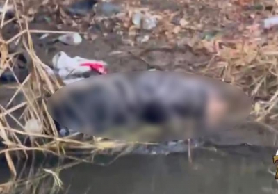 В Харькове оперативно раскрыли убийство – подозреваемый взят под стражу