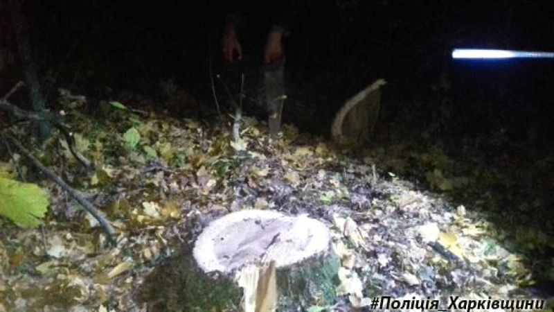 Жители Харьковщины предотвратили уничтожение леса