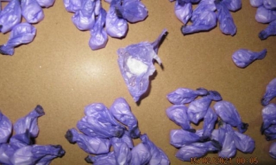 На КПП «Гоптовка» задержан гражданин с наркотиками