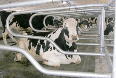 Харьковская «Деревня будущего»