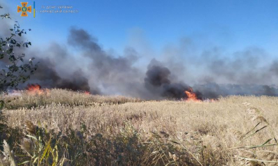 Масштабный пожар произошел вчера в Балаклее – огонь приблизился к частным домам (фото, видео)