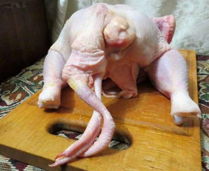 В Харькове продают куриц с двумя хвостами и лишней парой лап (фото, видео)