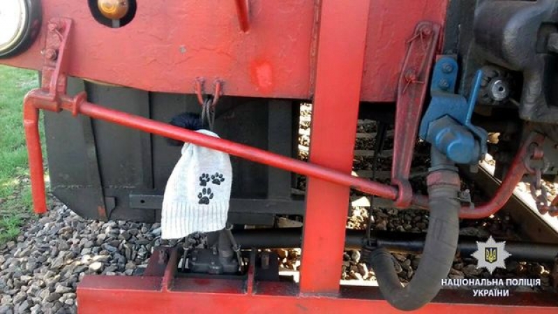 ЧП под Харьковом: 10-летний ребенок находится в реанимации