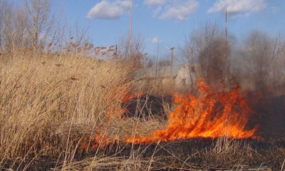 Условный срок получил пенсионер, подпаливший сухую траву возле села Башилевка