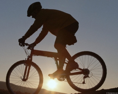 На радость велосипедистам