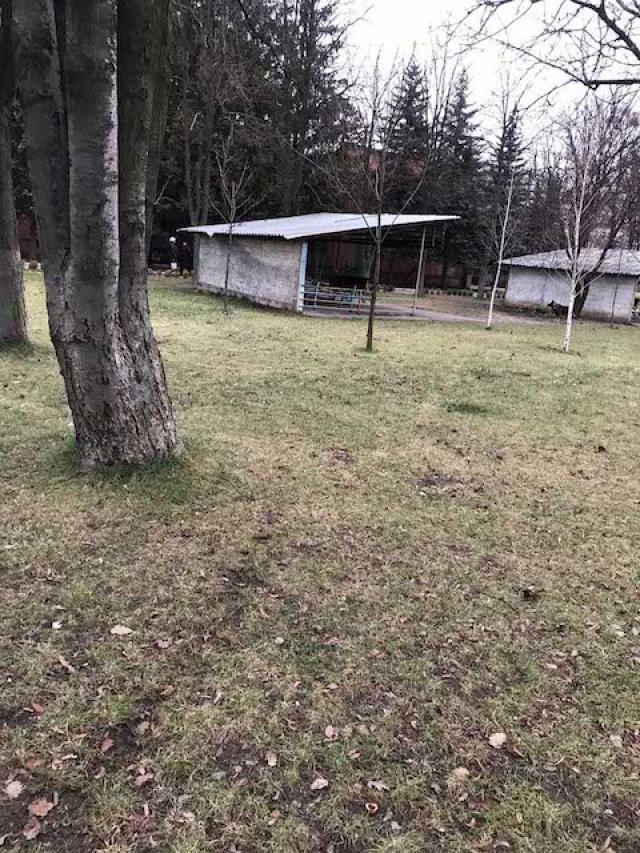 Убийство в канун Нового года – подозреваемая задержана