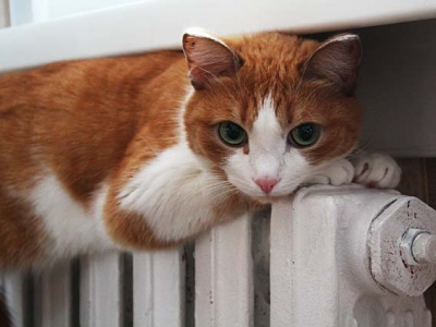 В Харькове будут отключать отопление по графику