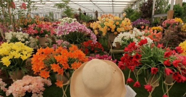 В Харькове открылась выставка цветов