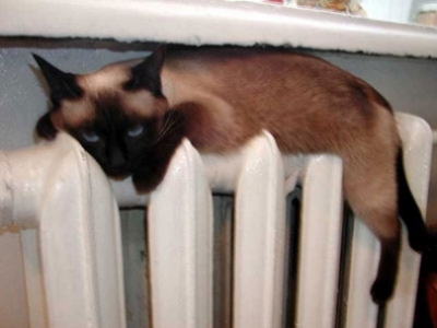 Отопительный сезон проходит стабильно