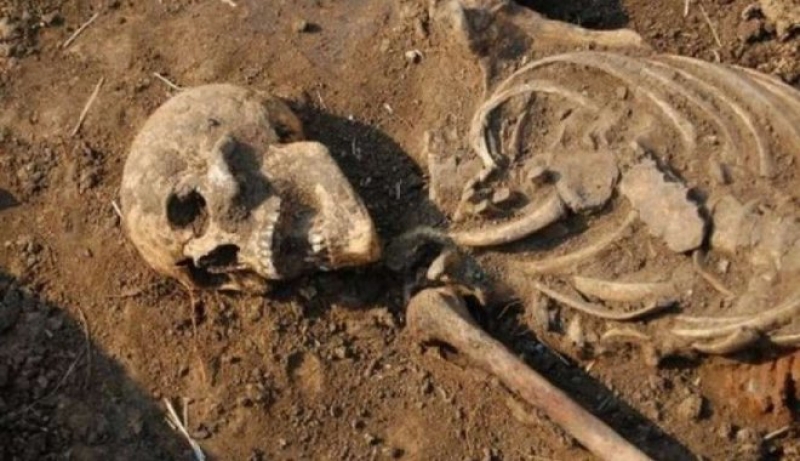 В Холодногорском районе нашли скелет женщины