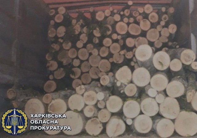 Жителю Купянского района сообщили о подозрении – спилил 57 ясеней