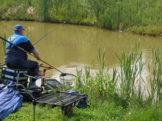 В области зарегистрирован третий случай заражения лептоспирозом