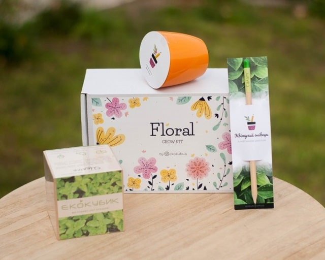 Екокубик: оригінальний квітучий подарунок