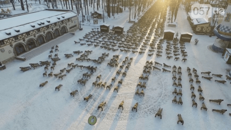 Флешмоб харьковских курсантов в честь ветеранов АТО, - фотофакт