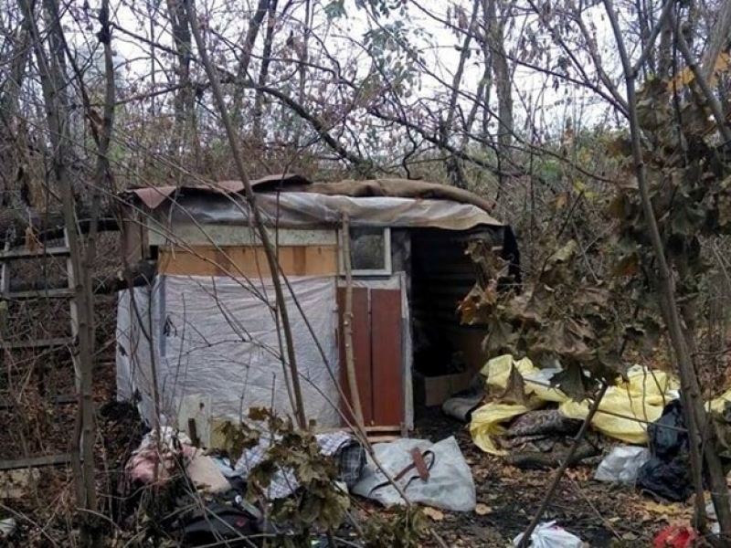 На грани выживания: харьковчанка с грудничком жила в самодельной хижине в лесу (фото)