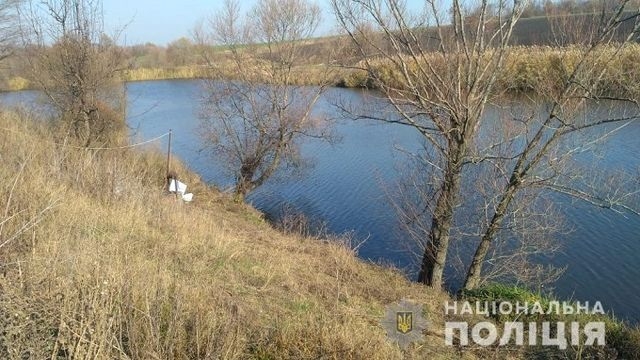 Трагедия в селе Басово: в местном ставке утонул ребенок