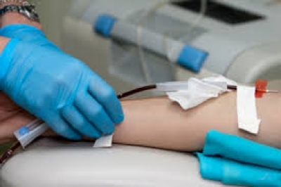 Сотрудники горсовета сдают кровь