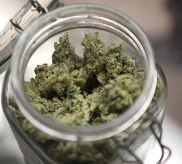 Мужчина заготовил коноплю на зиму