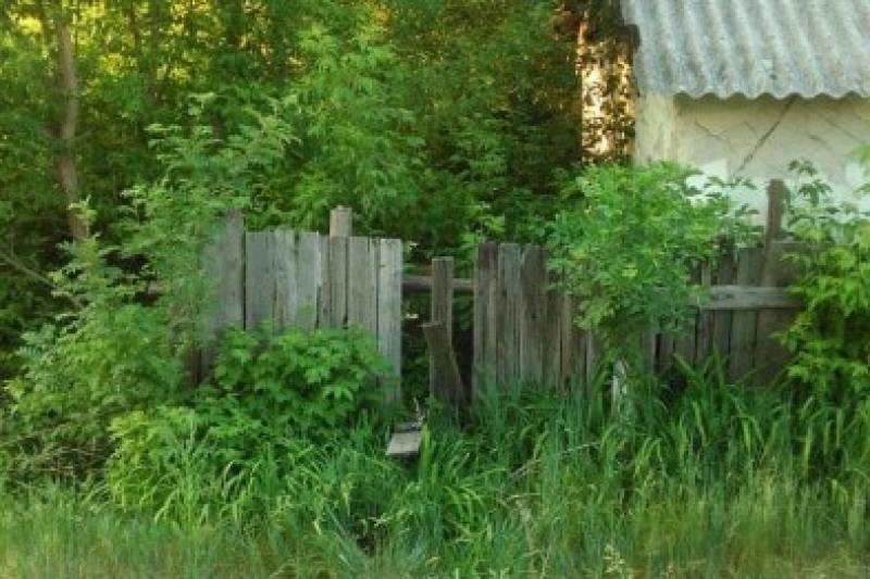 На Харьковщине односельчане зверски убили соседа, а тело пытались спрятать
