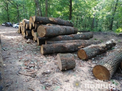 Лесничий госпредприятия предстанет перед судом