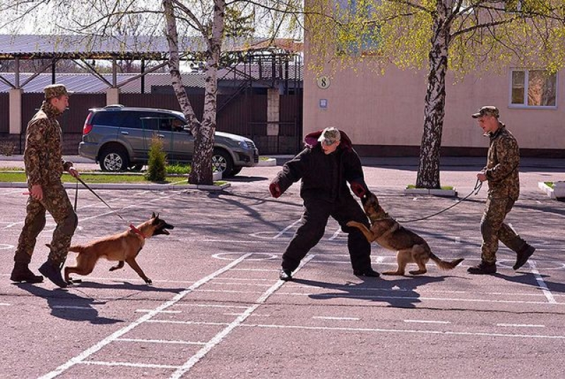 Пополнение в рядах харьковских нацгвардейцев