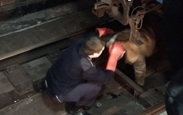 В подземке Харькова мужчина на глазах у пассажиров хотел свести счеты с жизнью