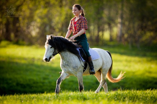 В экопарке начал работать детский лагерь