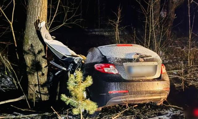 В аварии погибла молодая женщина и пострадали двое маленьких детей