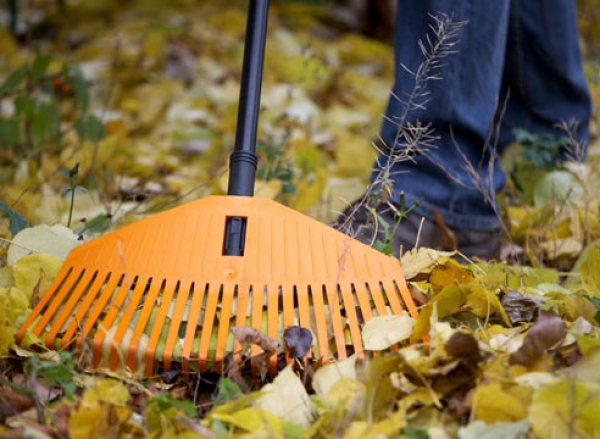 Сквер им. Советской Украины скоро будет освещен