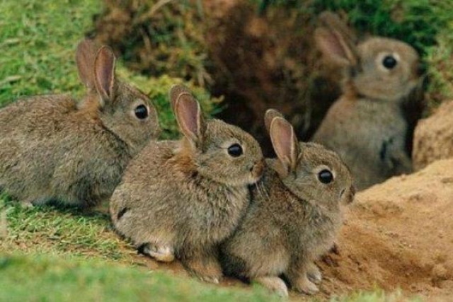 В Харьковской области – «сезон тишины»