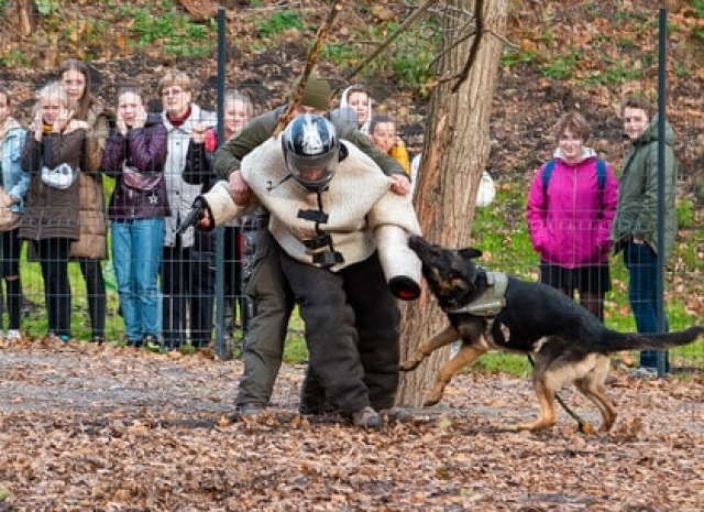 В Саржином яру кинологи показали детям, на что способны служебные собаки