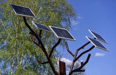 В Харькове от особенного дерева можно заряжать гаджеты (фото)