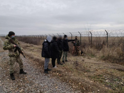 Возле Плетеневки пограничники задержали кубинских мигрантов
