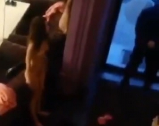 Харьковчанка, отказавшись оплатить счет в кафе, разделась догола (фото 18+)