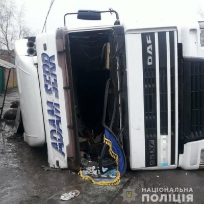 ДТП в Коробочкино - разбежавшихся по трассе свиней везли на убой